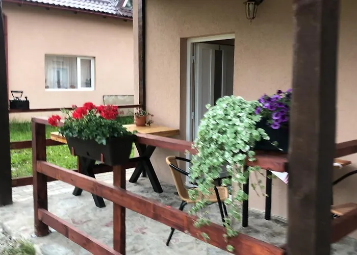 Casa Albert Valea Avrigului
