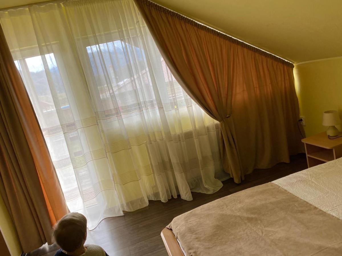Guest house Casa Valea Avrigului *