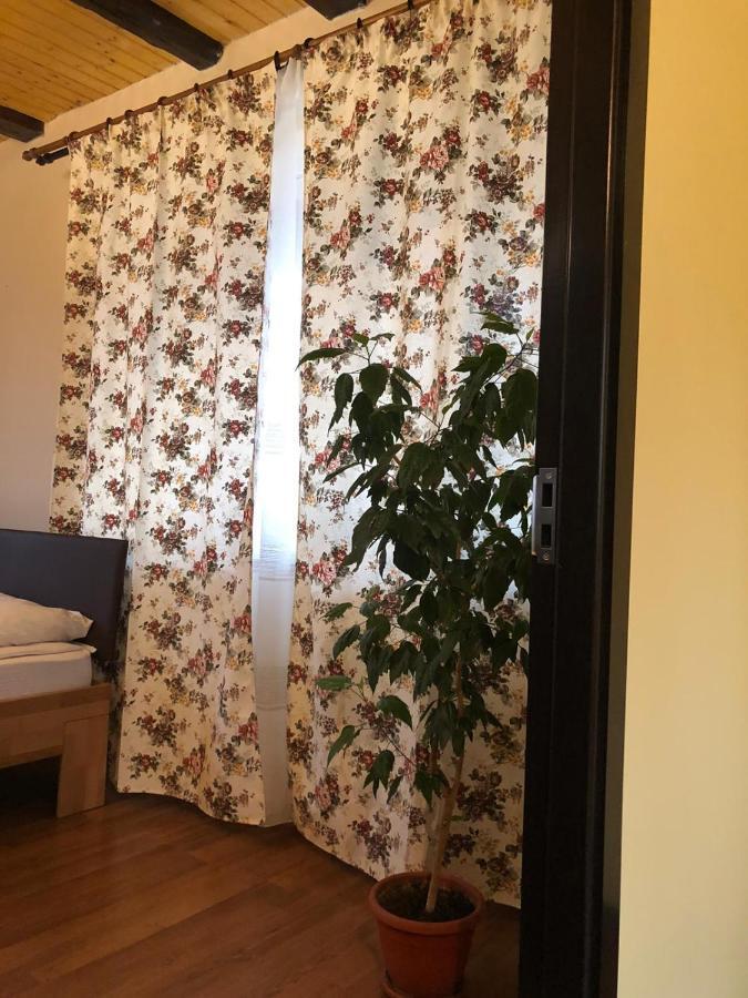 Casa Valea Avrigului Guest house
