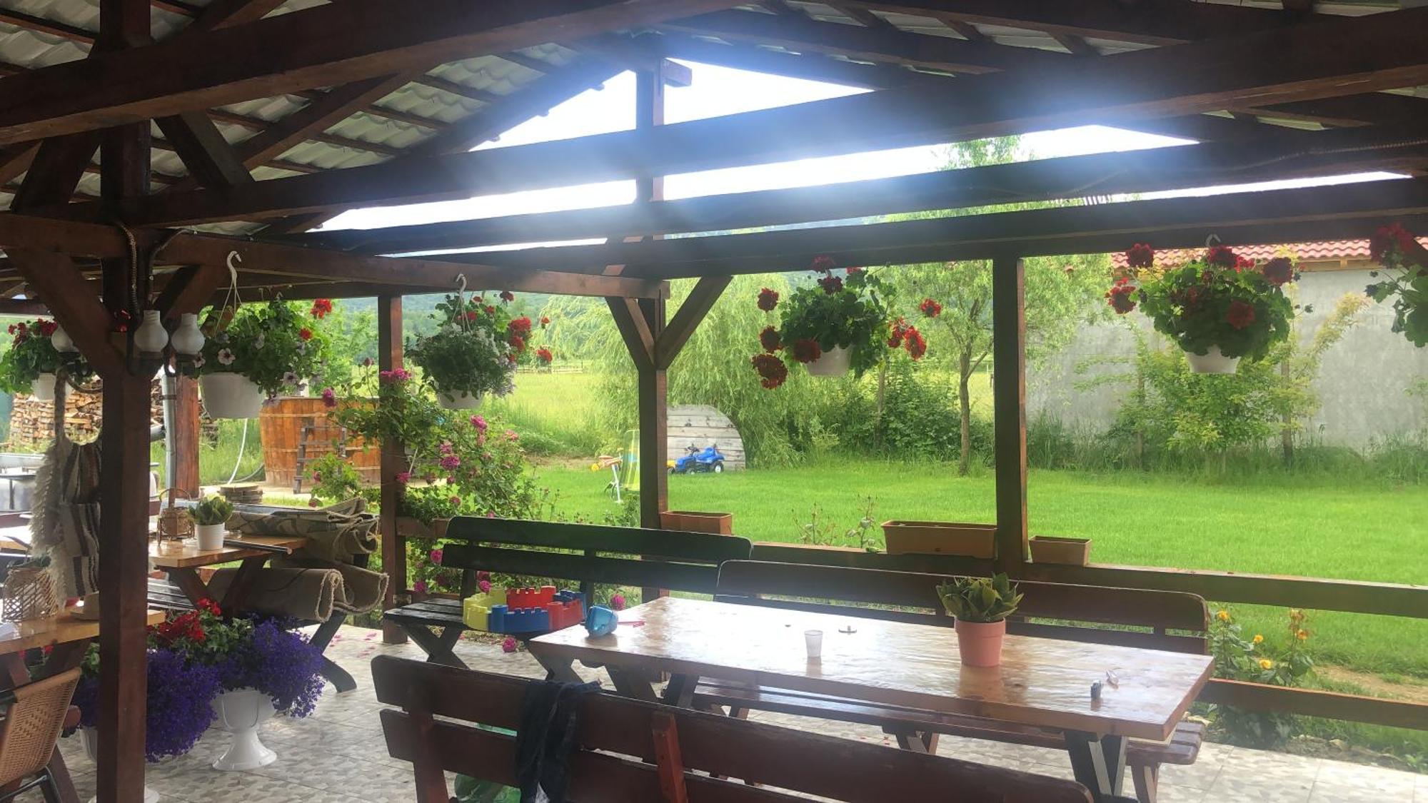 Guest house Casa Valea Avrigului *
